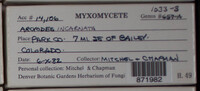 Image Associated With the Occurence